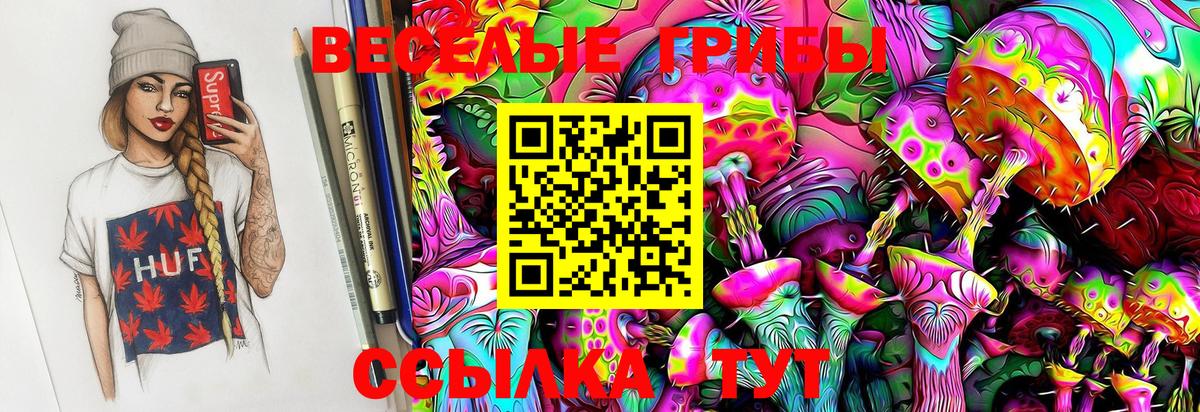 Псилоцибиновые грибы GOLDEN TEACHER Мичуринск