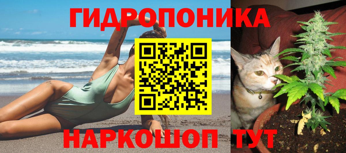 Шишки марихуана OG Kush  Канабис SATIVA & INDICA  Вход с VPN  Мичуринск  Конопля индика 